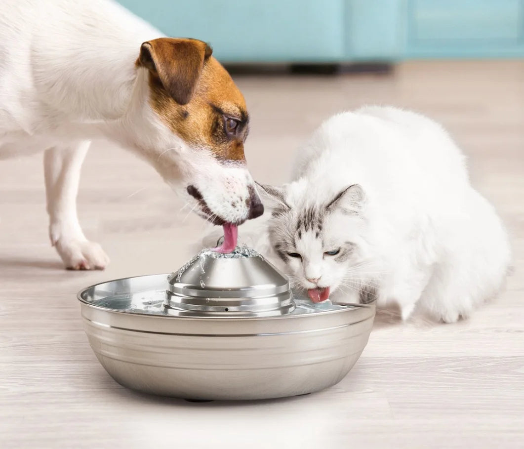 Stainless steel timed cat feeder bowl with central cap, two cats eating
