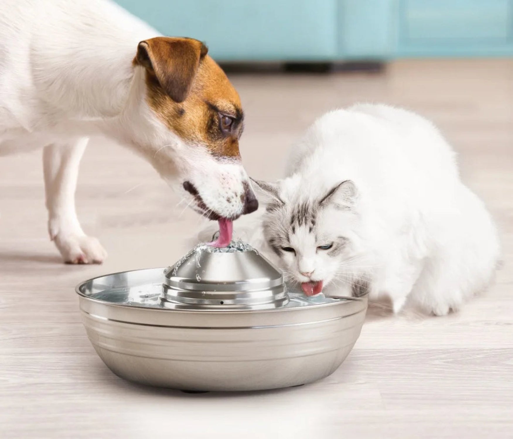 Dog and cat drinking from a stainless steel pet fountain on a light-colored floor.