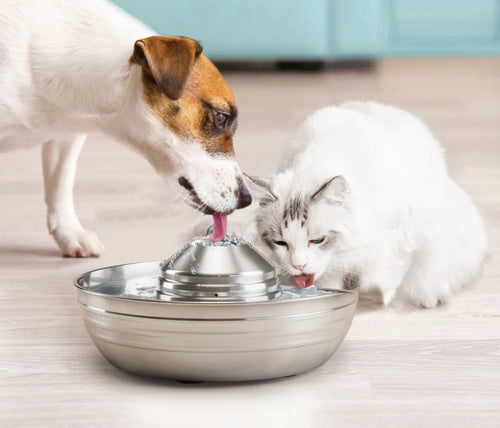 Dog and cat drinking from a stainless steel pet fountain on a light-colored floor.