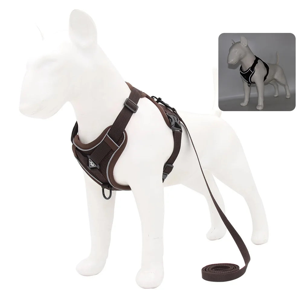 Dog harness and leash set in dark brown and black, adjustable straps and D-rings