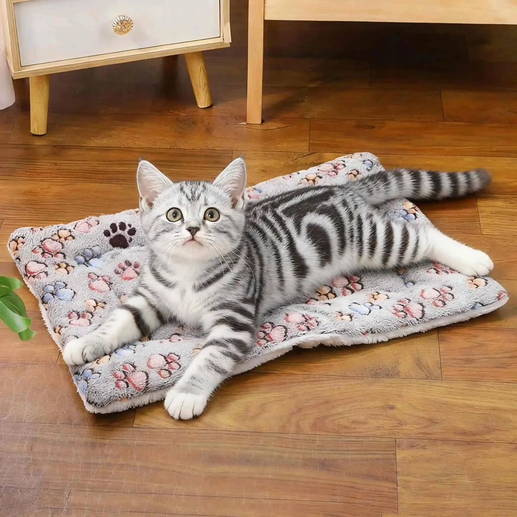 Plush Washable Pet Blanket Sofa Bed Mat for Travel