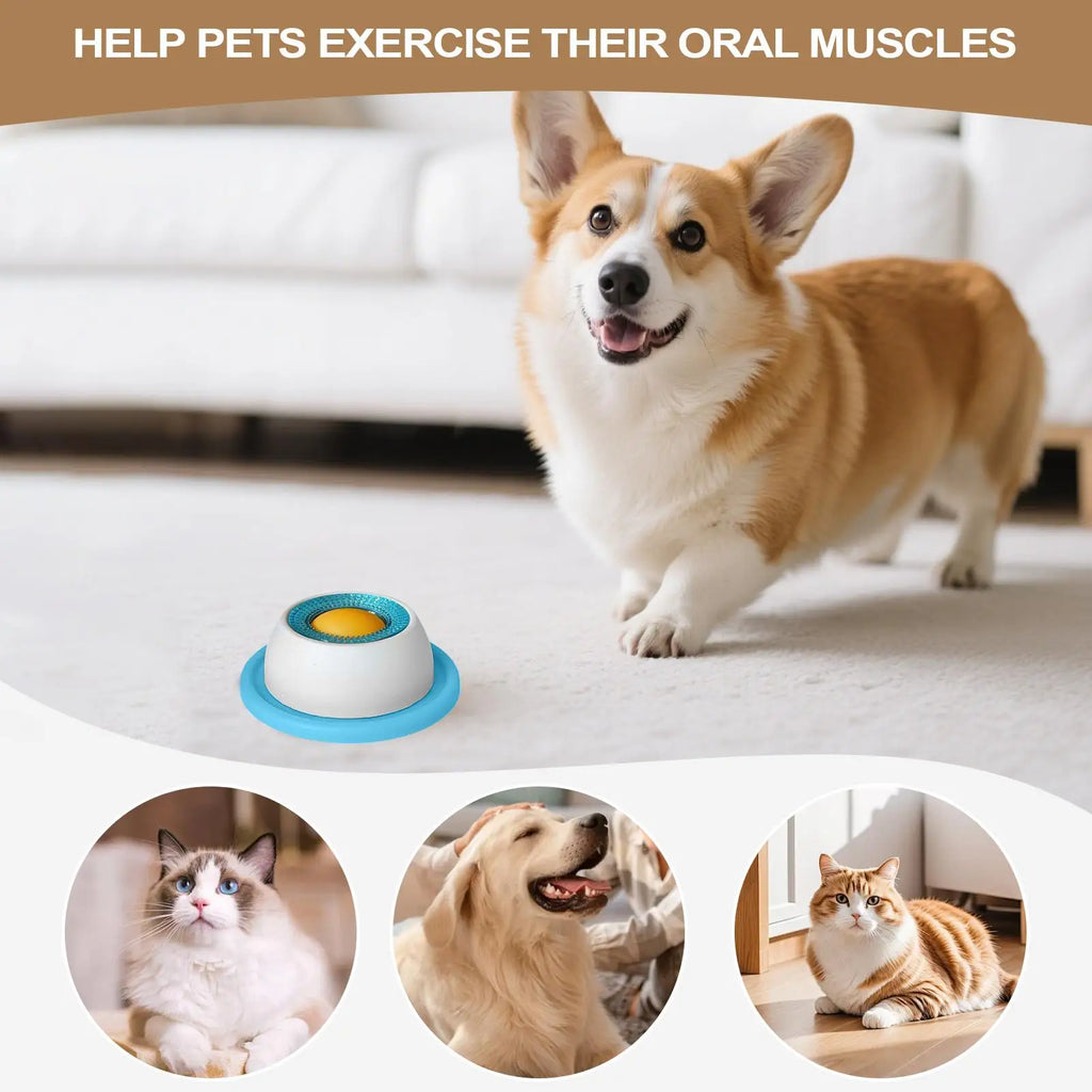 Slow Feeder Puzzle Toy Healthy Eating Treat Crate for Puppies