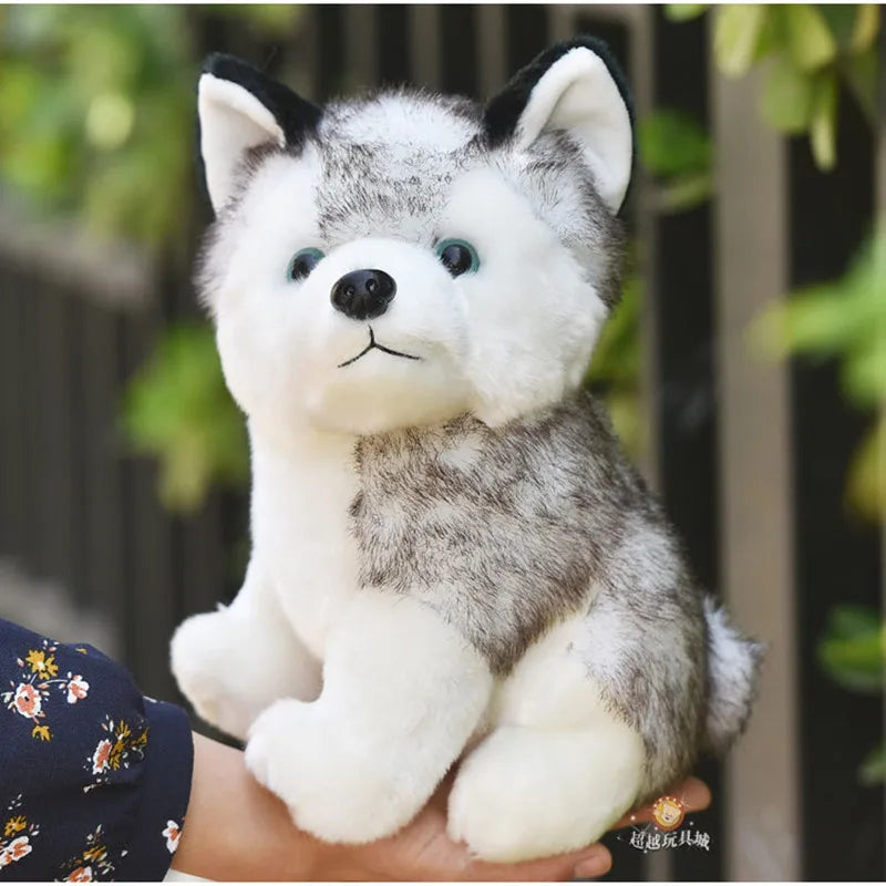 Cute Simulation Husky Dog Plush Toy Stuffed Doll Kids