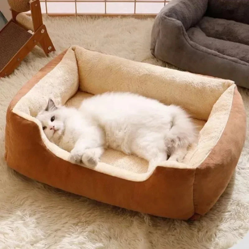 Orange pet bed with cream lining, white cat curled and sleeping