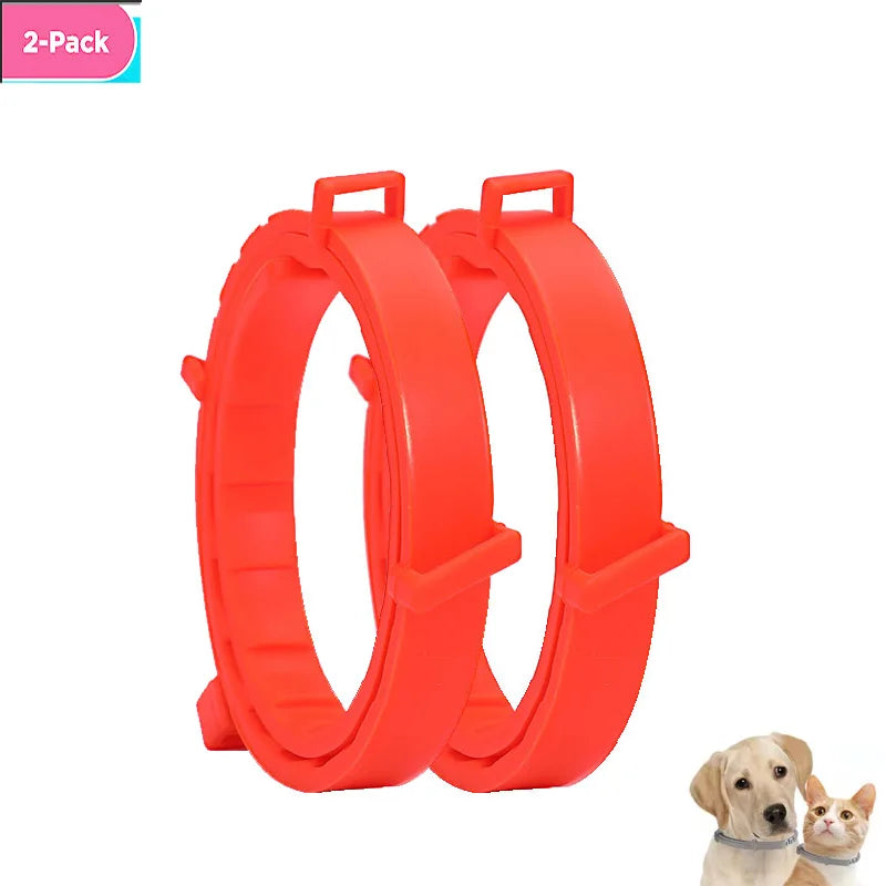 Adjustable Dog Cat Collar Small Dogs Kitten Colorful Pets