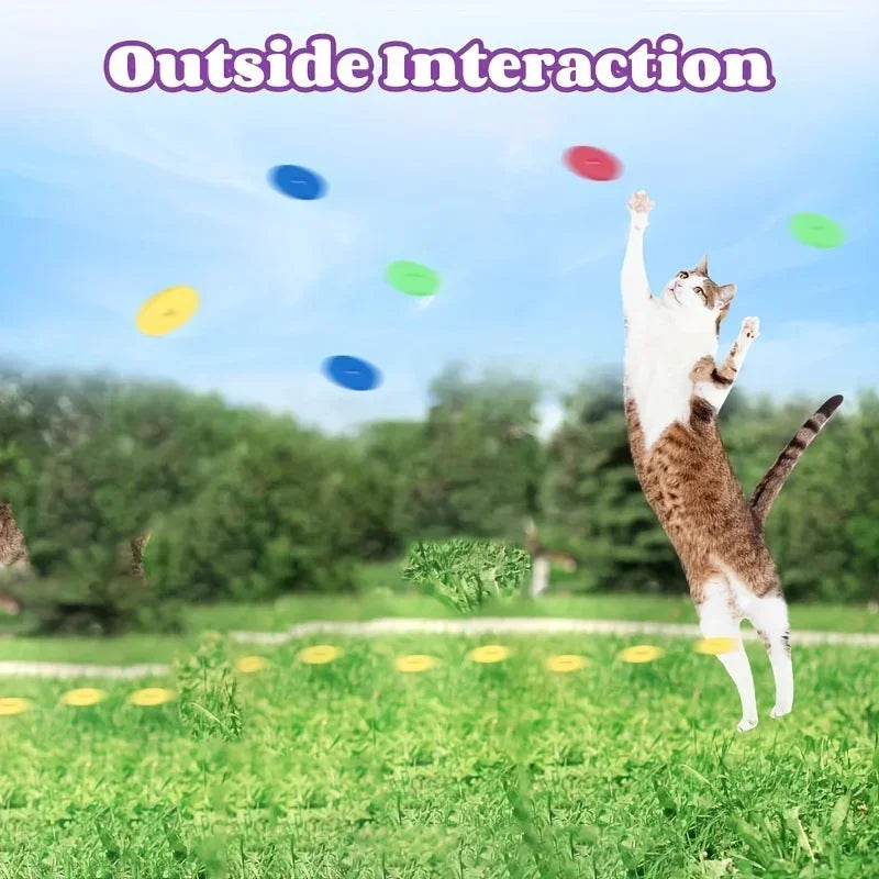 Colorful Flying Disc Launcher Set for Pets | PawJoyKwT
