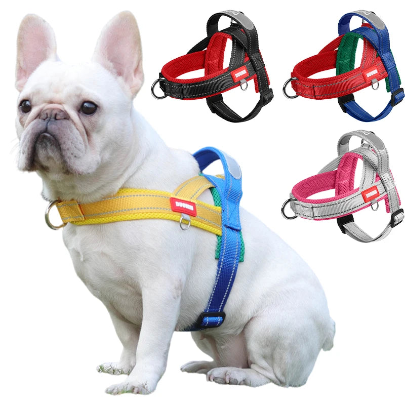 Dog saddle-type chest harness strap with yellow and blue webbing and metal clips