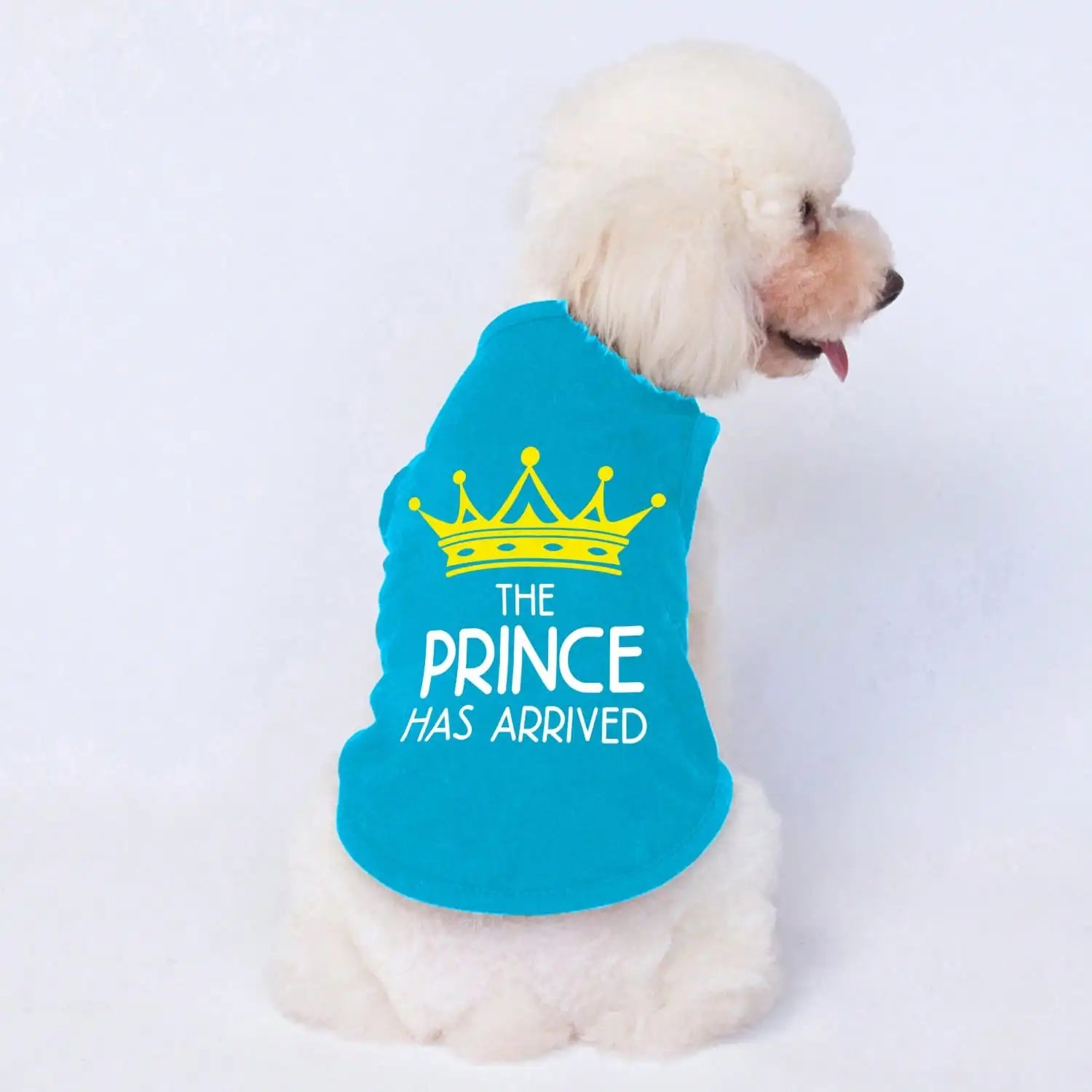 Blue pet vest for dogs and cats with yellow crown and 'The Prince Has Arrived' text