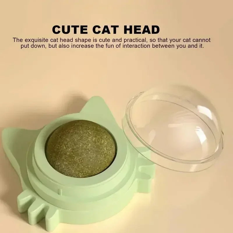Wall Spin Catnip Ball Toy for Cats | PawJoyKwT