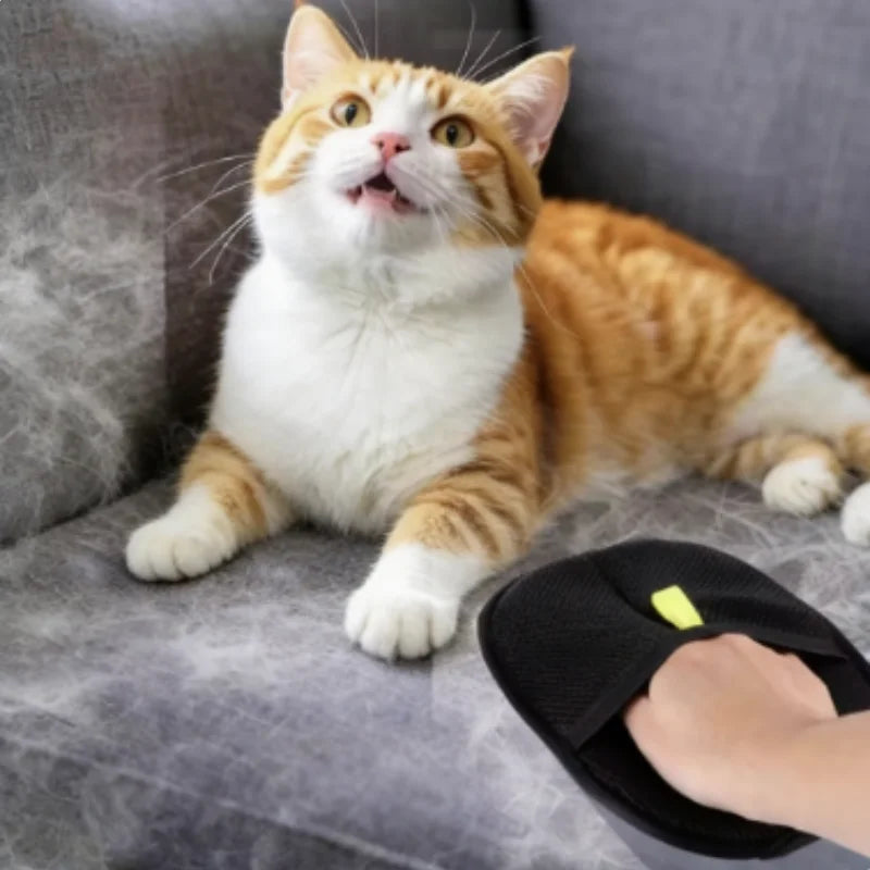 Pet Grooming Glove Hair Remover for Sofa Carpet Clothes