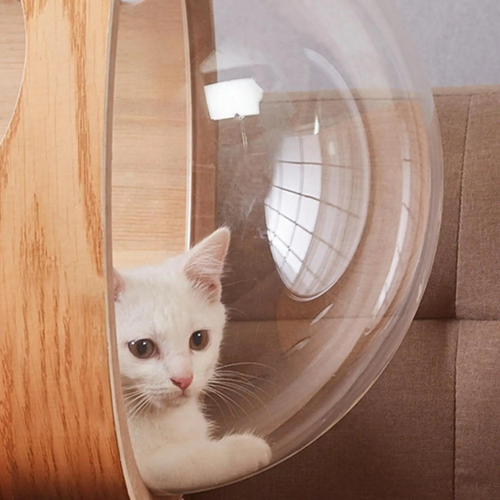 Space Capsule Clear Cat Bed DIY Hammock Indoor Furniture