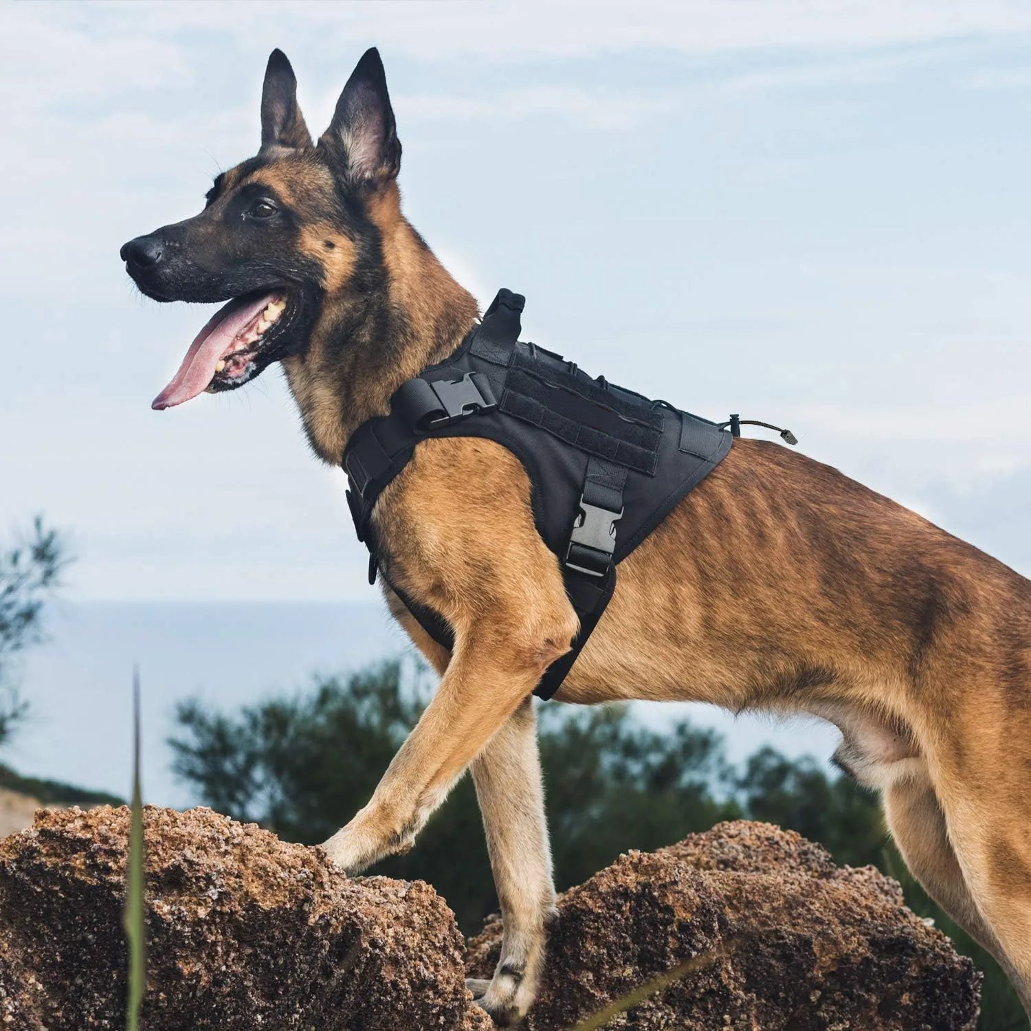 Tactical No-Pull Service Dog Harness Handle Vest | PawJoyKwT
