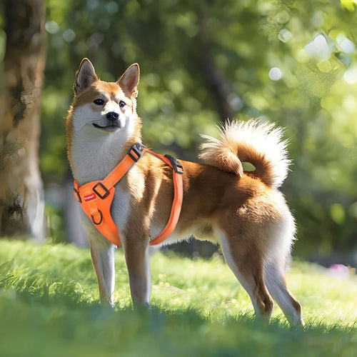 Adjustable padded dog harness in orange with front control handle
