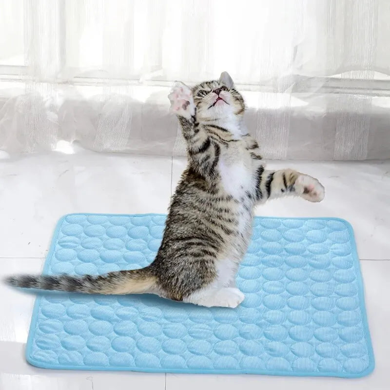 Summer Ice Cooling Pet Sofa Bed Mat for Small Dogs