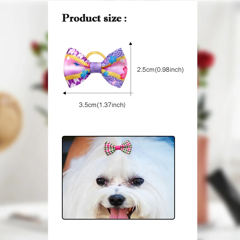 Purple patterned dog hair bow with gold elastic loop on display card