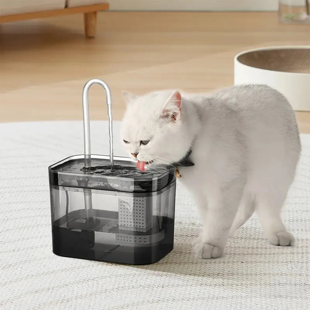 Cat Water Fountain | Best Automatic Pet Water Fountain USA