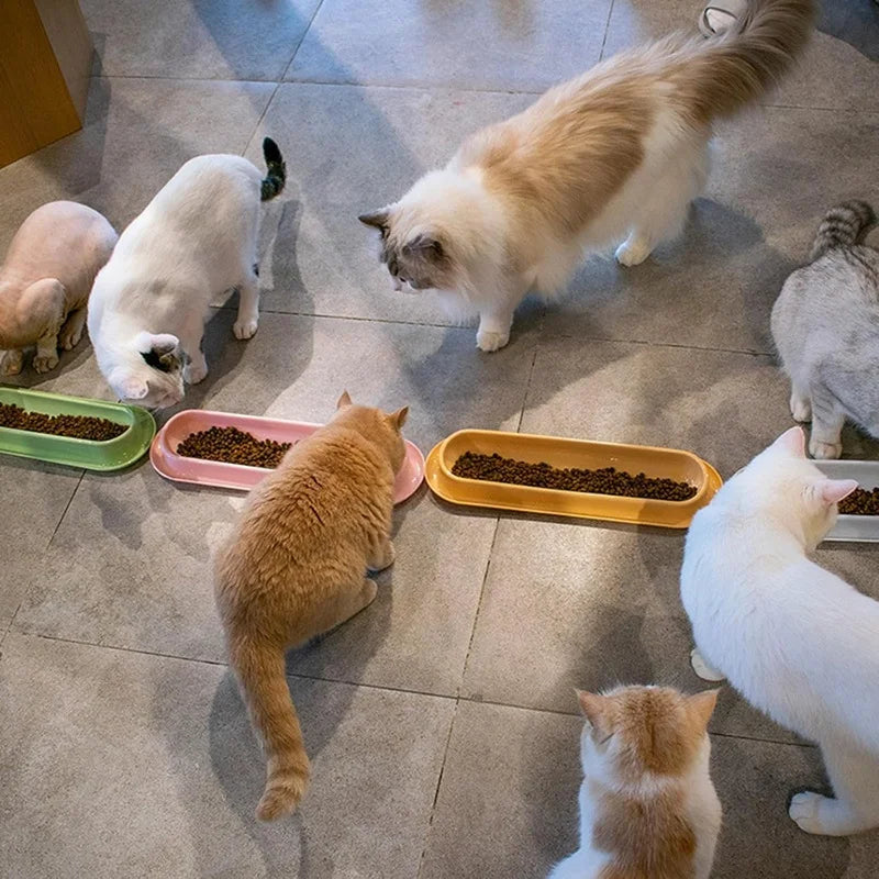 15-Degree Slanted Anti-Ant Non-Slip Pet Feeder Bowl Cats Dogs