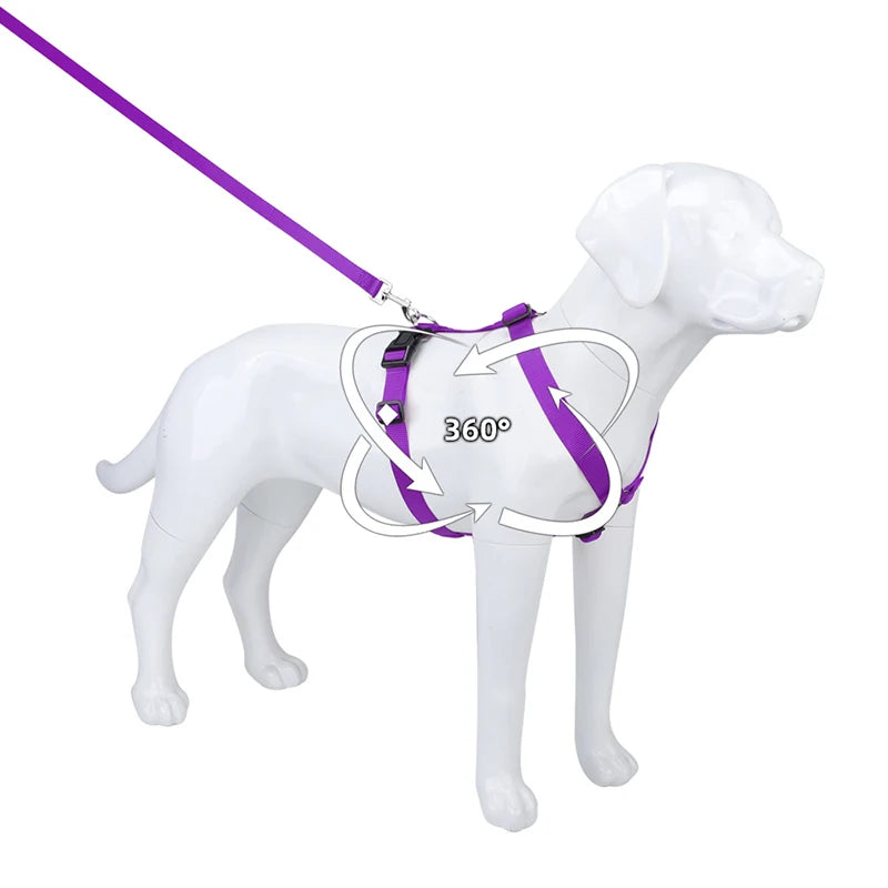 Purple H-shape dog harness on a white dog, swivel-style 360° motion indicator
