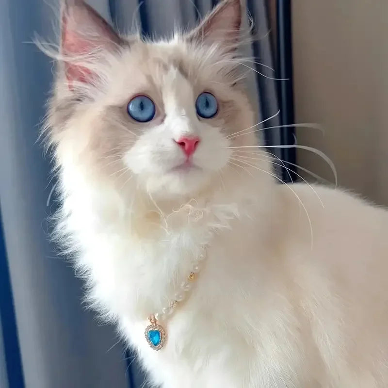 Pet white pearl necklace collar with small teal pendant charm and gold clasp.
