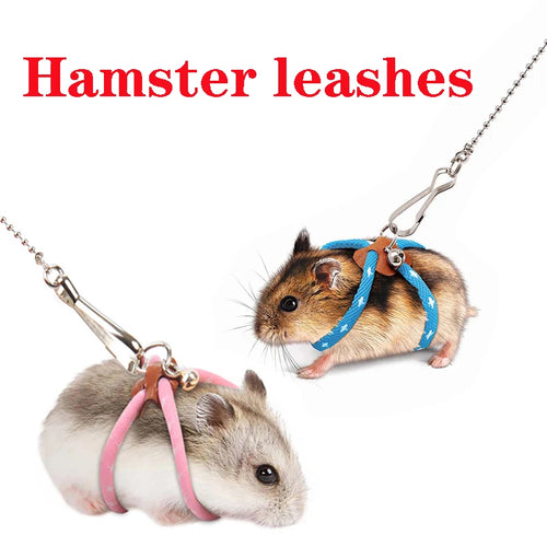 Hamster wearing a blue soft harness leash with metal chain and clips