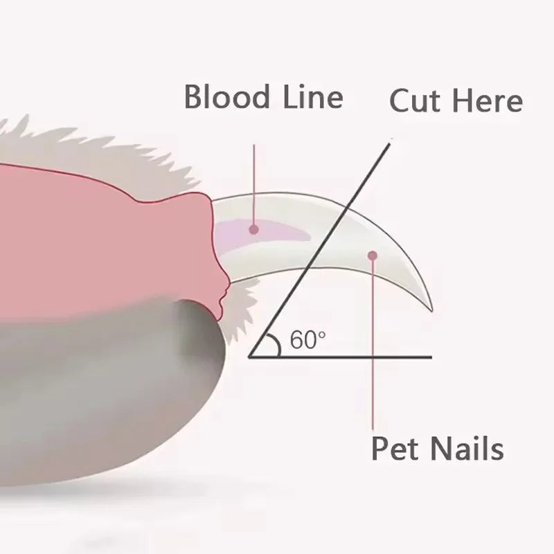 Labor-Saving Pet Nail Clippers Claw Grooming Scissors
