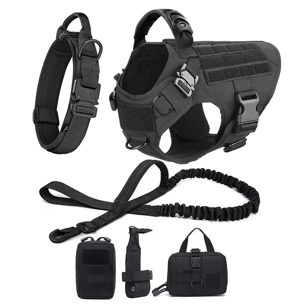 Black dog harness set with collar, coiled leash, and storage pouches