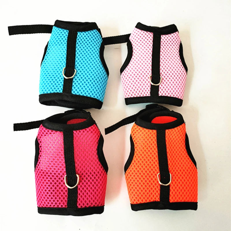 Four-color mesh harness set with matching leashes, black trim and metal D-rings.