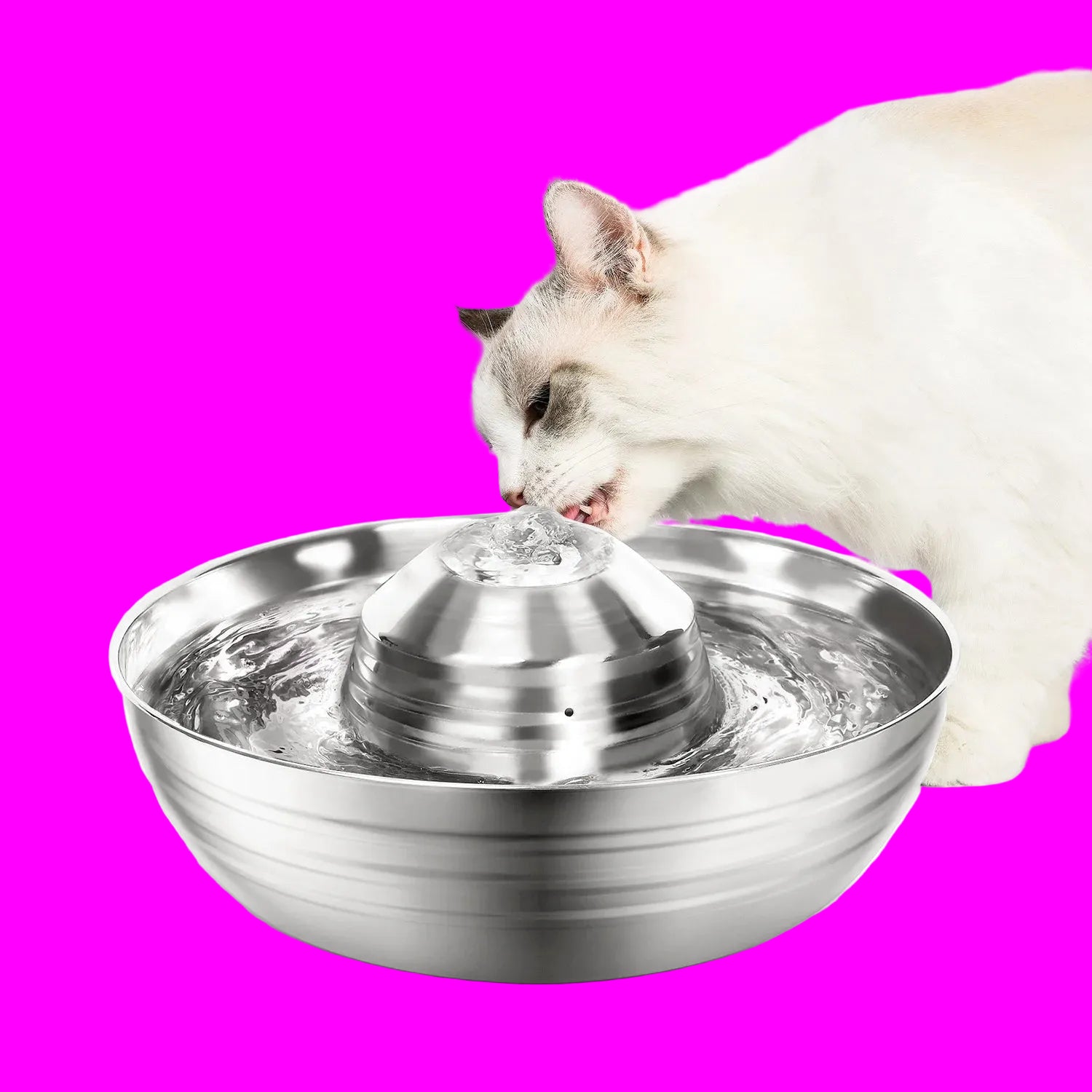 Cat drinking from a stainless steel water fountain with a white background