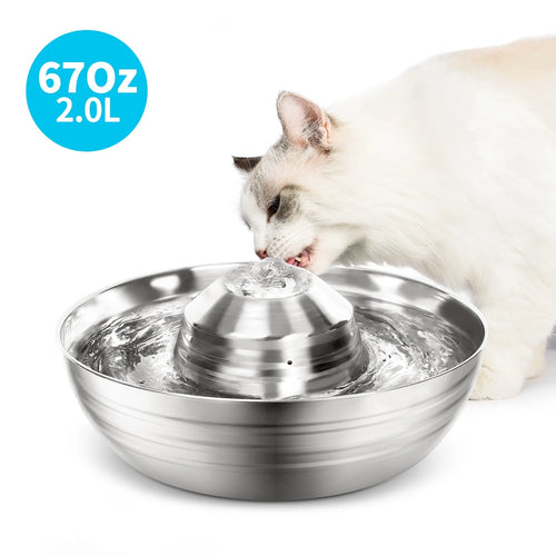 Stainless steel timed cat feeder bowl with central cap, cat leaning beside it