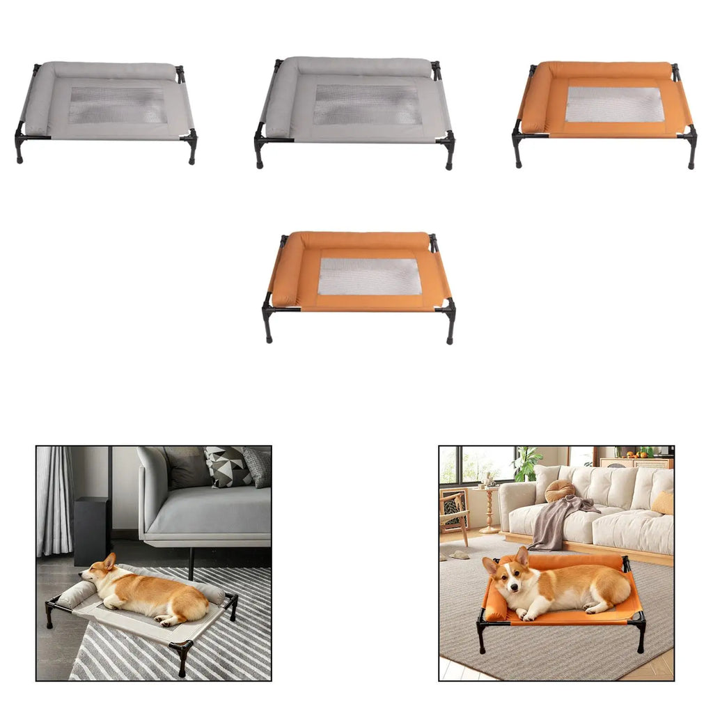Heavy Duty Elevated Pet Bed Outdoor Spacious Metal Frame Dogs