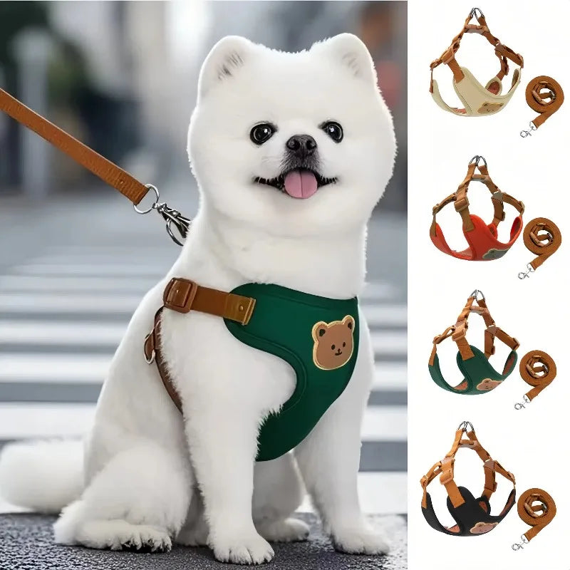 White dog wearing green harness vest with brown leash, teddy patch on chest