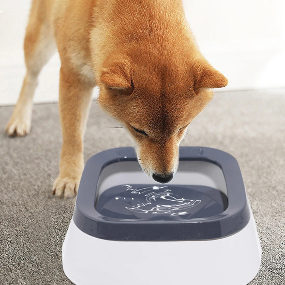 Splash-Proof Floating Water Bowl for Dogs & Cats