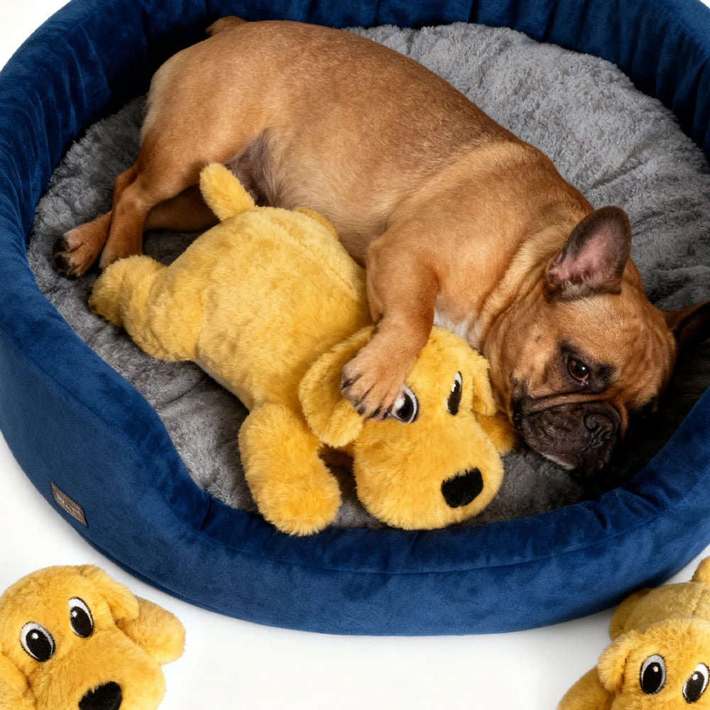 Dog Toy Improve IQ Interactive Puppy Toys Slow Feeder Ball for Dogs Cats