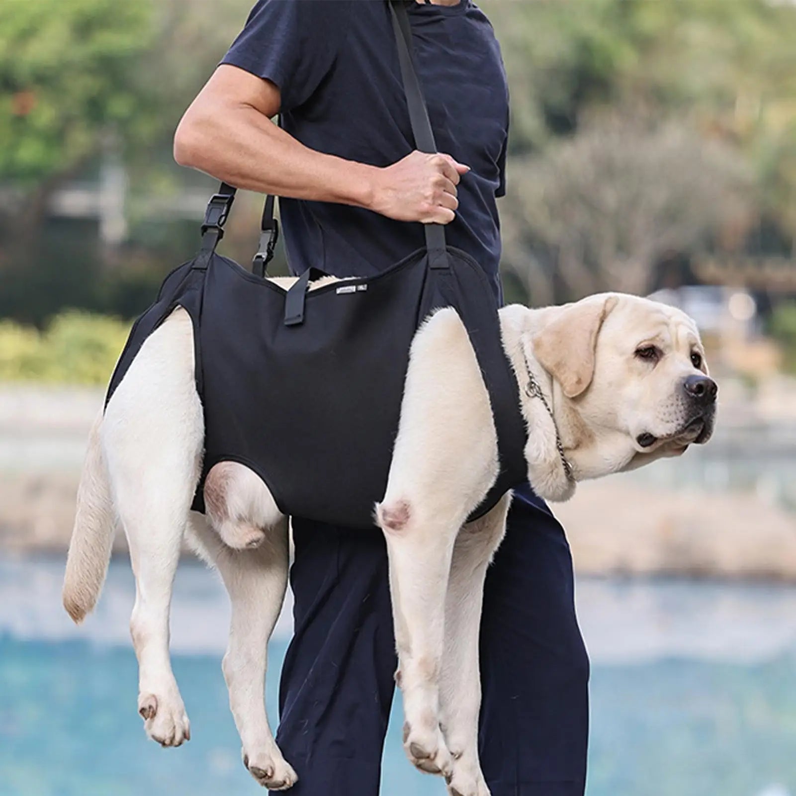 Black dog support lift rehabilitation vest being held by a person with shoulder straps