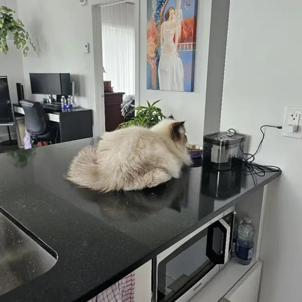 Cat Water Fountain | Fresh Filtered Water for Cats USA