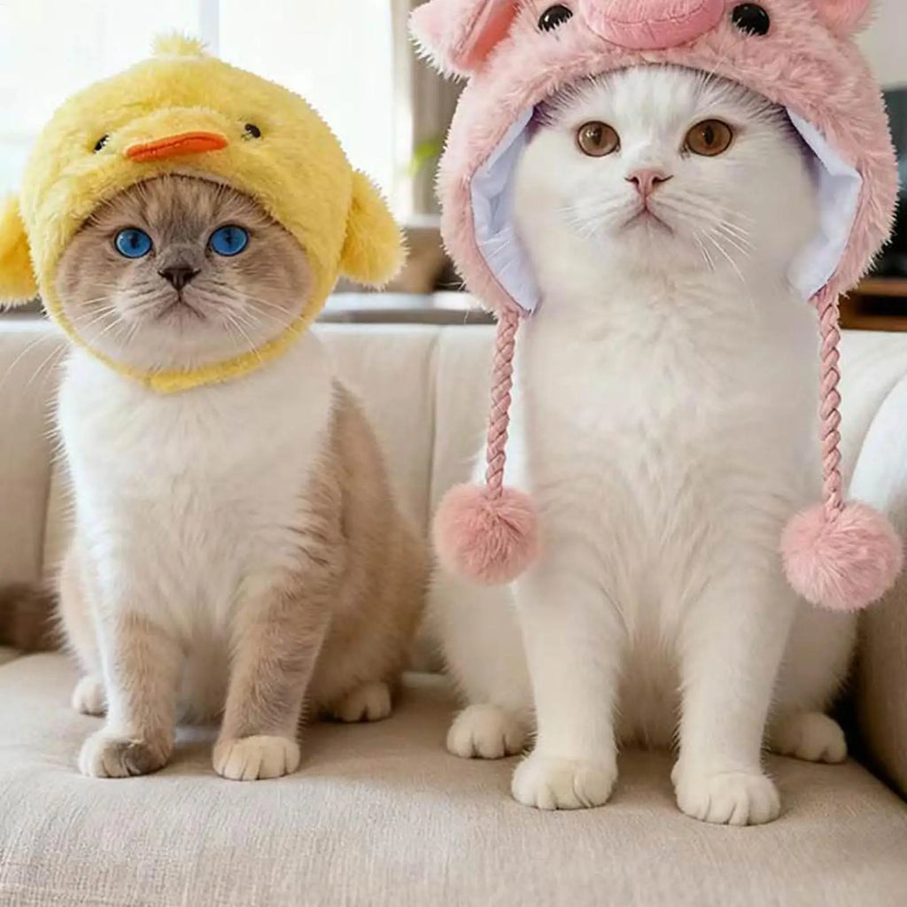 Pet costume hats: yellow chick and pink pig hats worn on cats