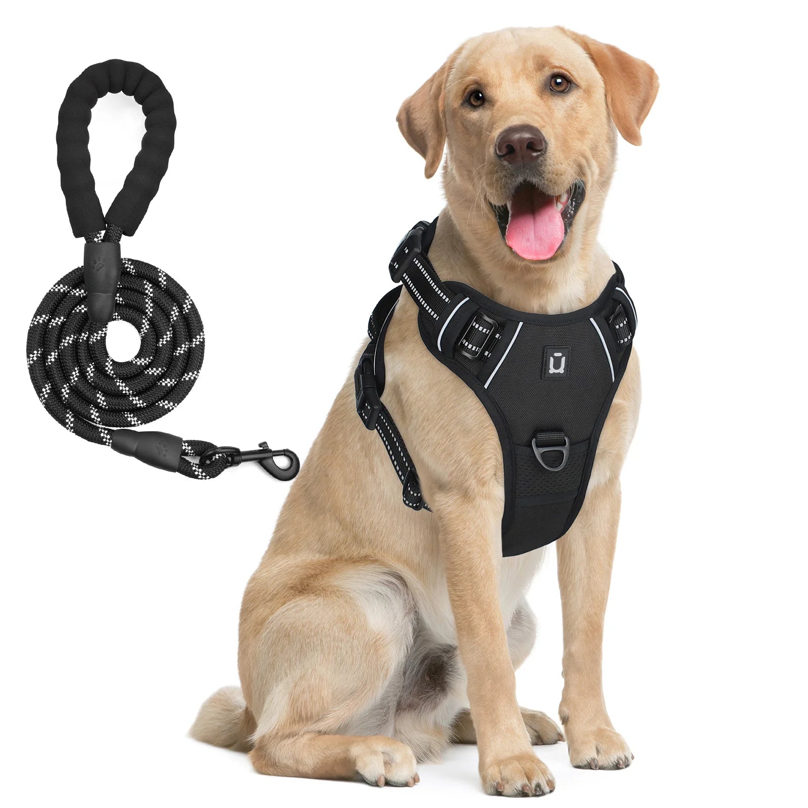 Dog harness and leash set in black with reflective accents, worn on a light tan dog