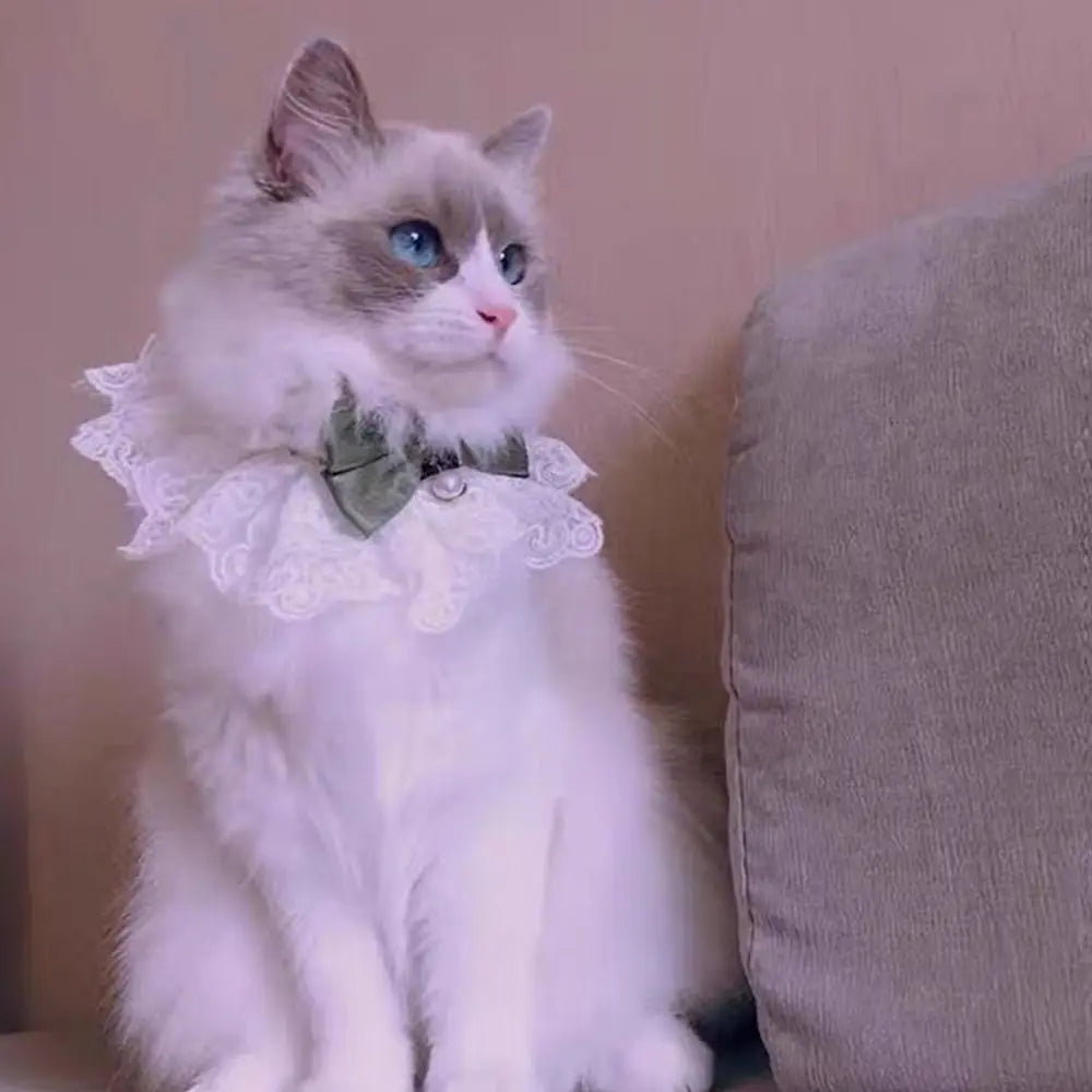 Lace bowknot scarf collar on cat, green bow with white lace ruffle trim