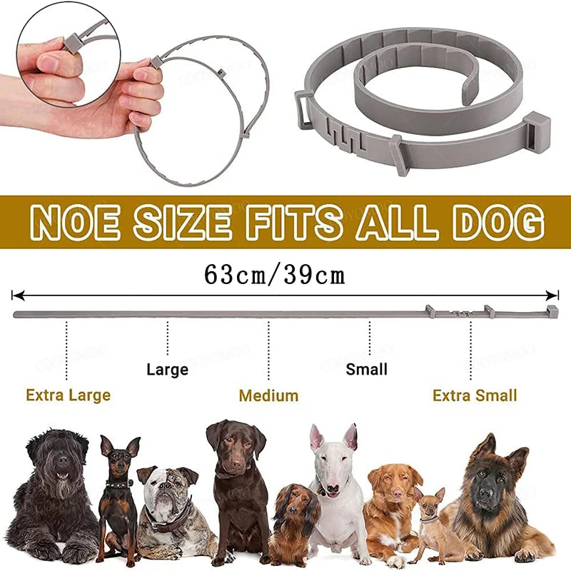 Adjustable Dog Cat Collar Small Dogs Kitten Colorful Pets