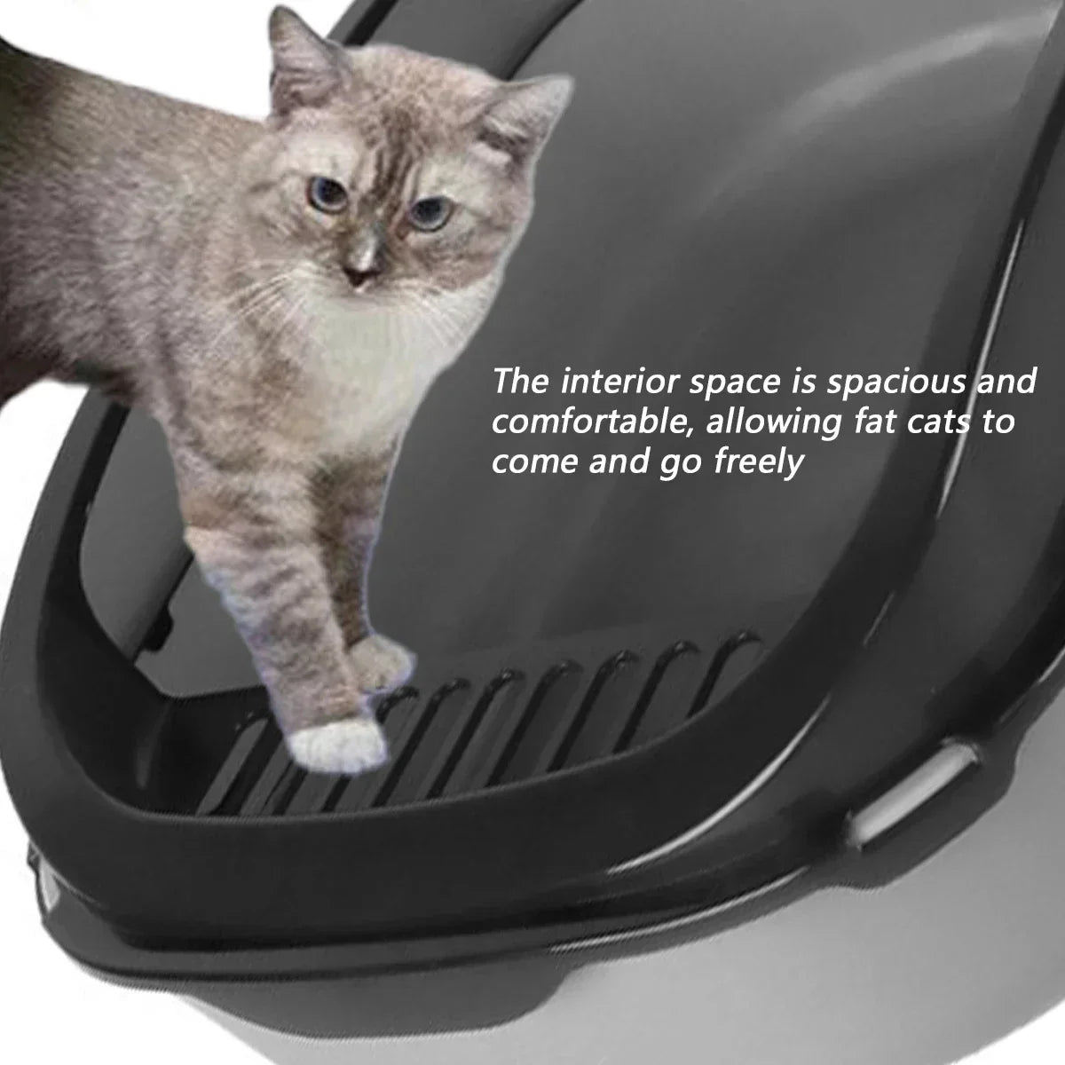 Semi-enclosed cat litter box with ventilated sides, dark gray and gray tabby cat