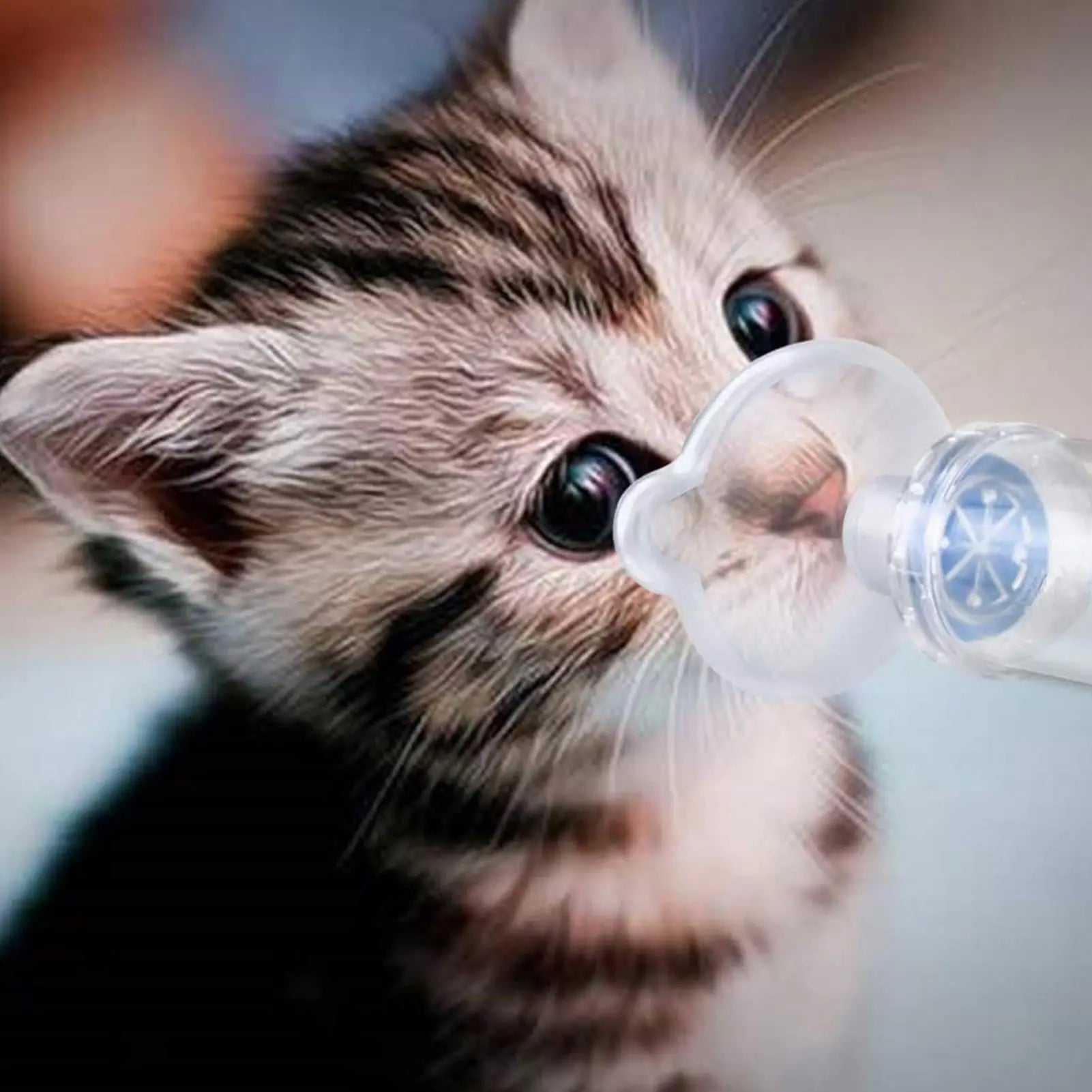 Portable Pet Nebulizer Chamber with PVC Mask for Cats & Dogs