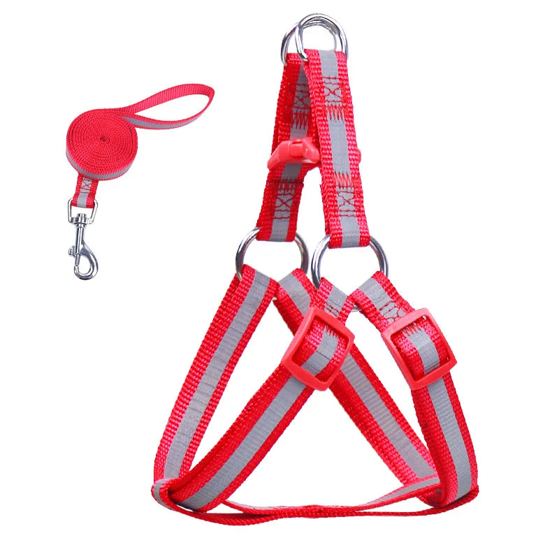Reflective dog harness vest and leash set, red with gray accents and two clips