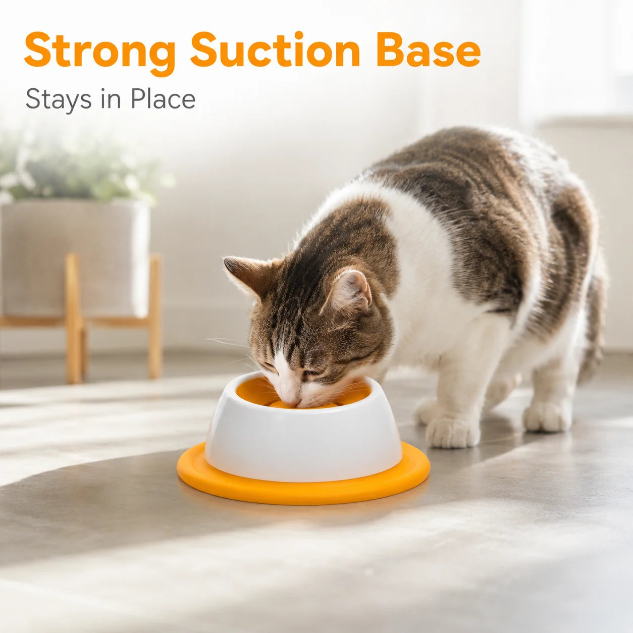 Cat Slow Feeder Bowl with Suction Base Interactive Pet Lick Bowl for Wet Dry Food Treats Anti-Slip Cat Feeding Dish for Healthy