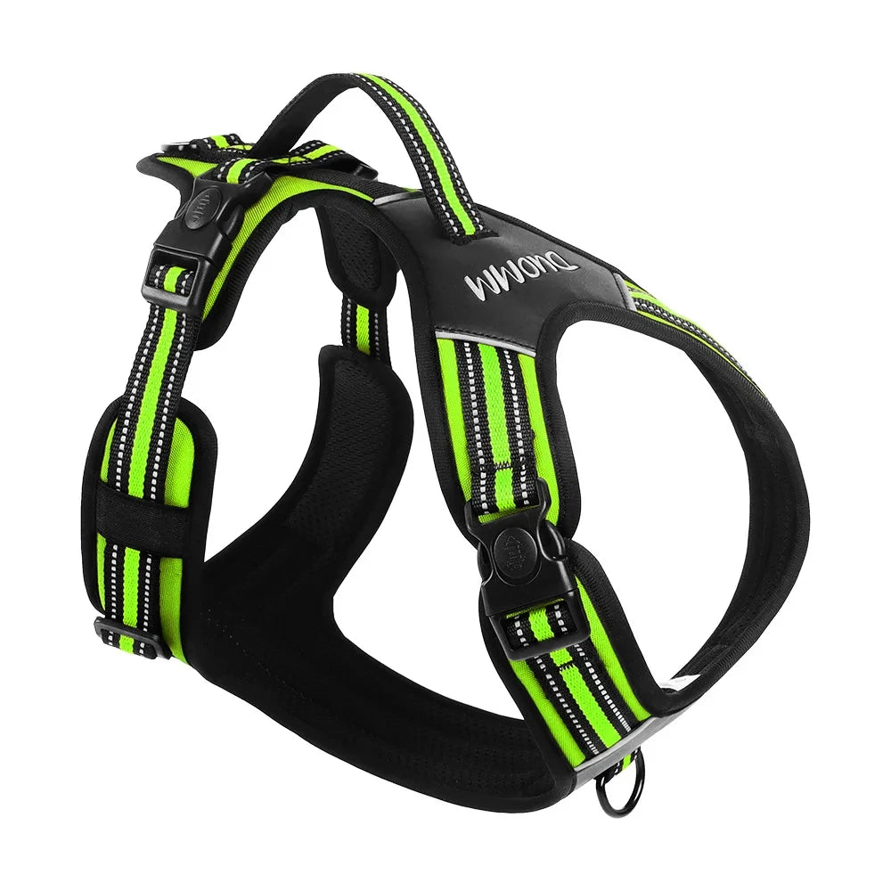 Green and black adjustable dog harness with reflective stripe webbing