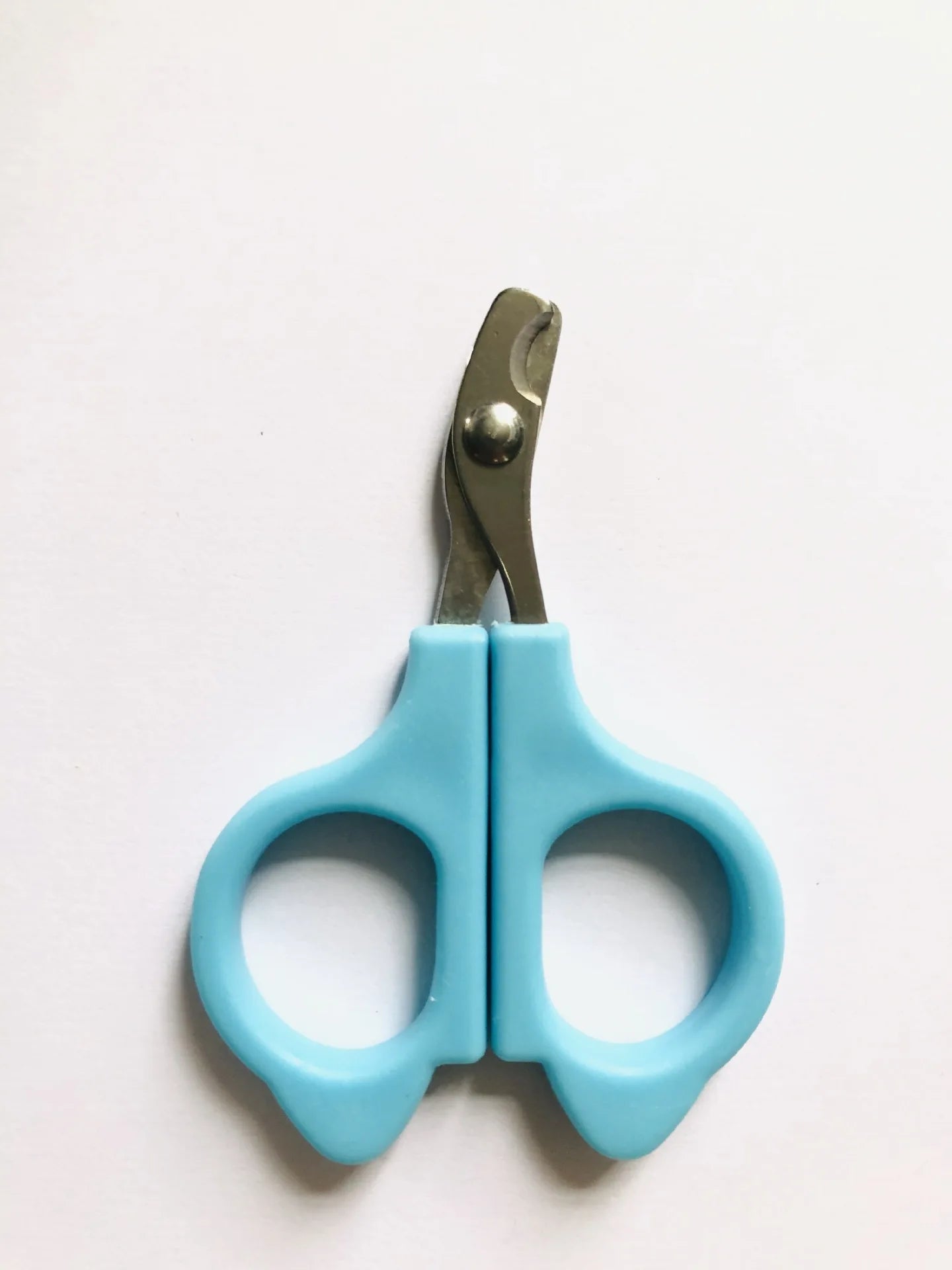 Pet nail clipper scissors with light blue handles and silver cutting blades