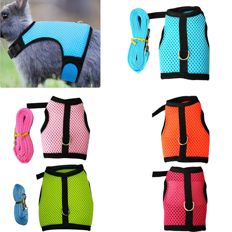 Blue mesh harness and leash set for small pets, black straps, metal D-ring.