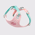 Dog harness and leash set, pink striped harness with teal straps and clips