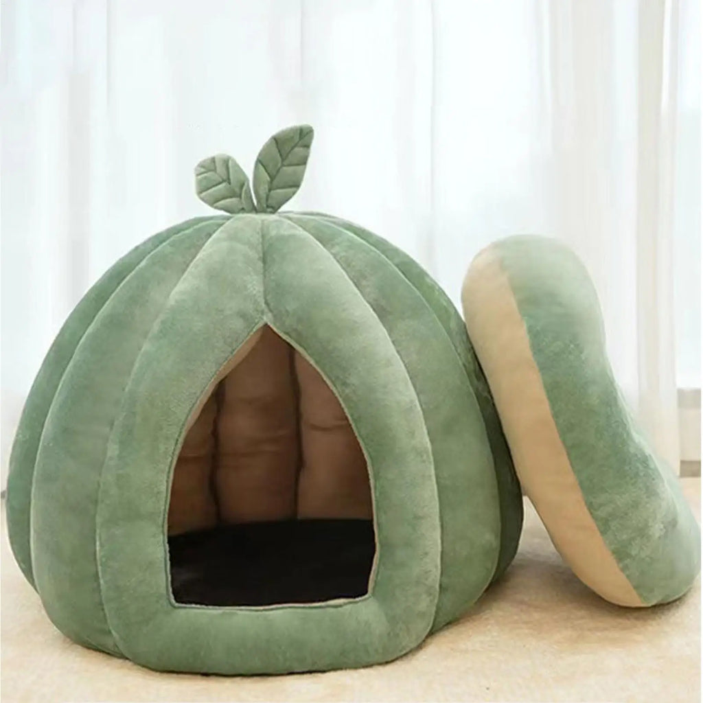 Pumpkin Cat House Enclosed Bed for Kittens